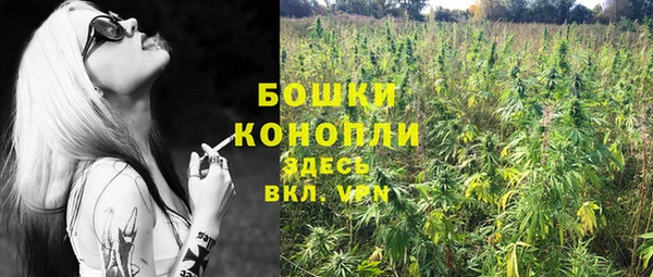сатива Володарск
