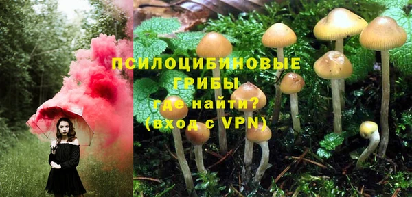 Альфа ПВП Волоколамск