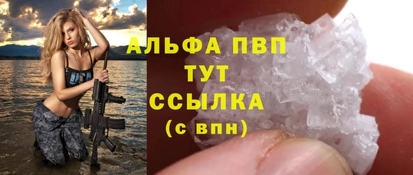 сатива Володарск