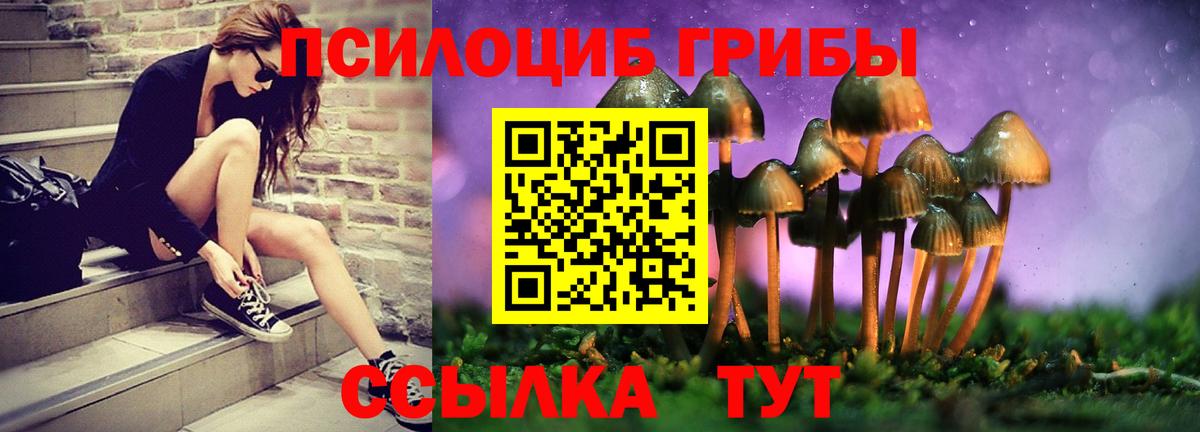 Псилоцибиновые грибы GOLDEN TEACHER Осинники